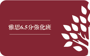 青岛瀚森雅思(IELTS)6.5分强化培训班课程