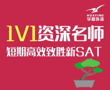 新SAT1对1资深名师VIP课程